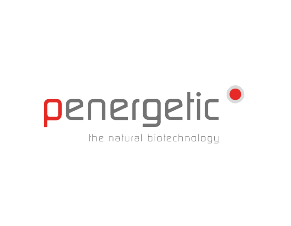 Penergetic International AG