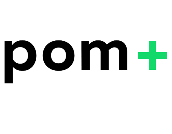 POM+CONSULTING AG